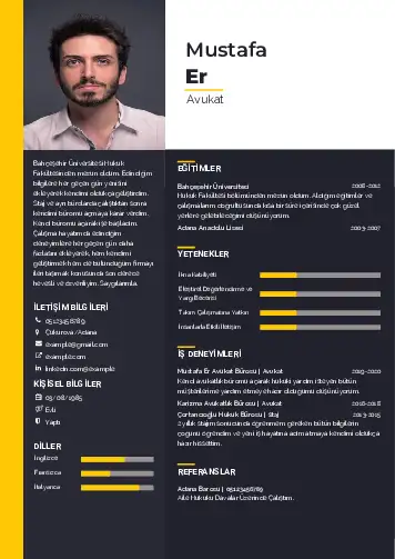 cv indir